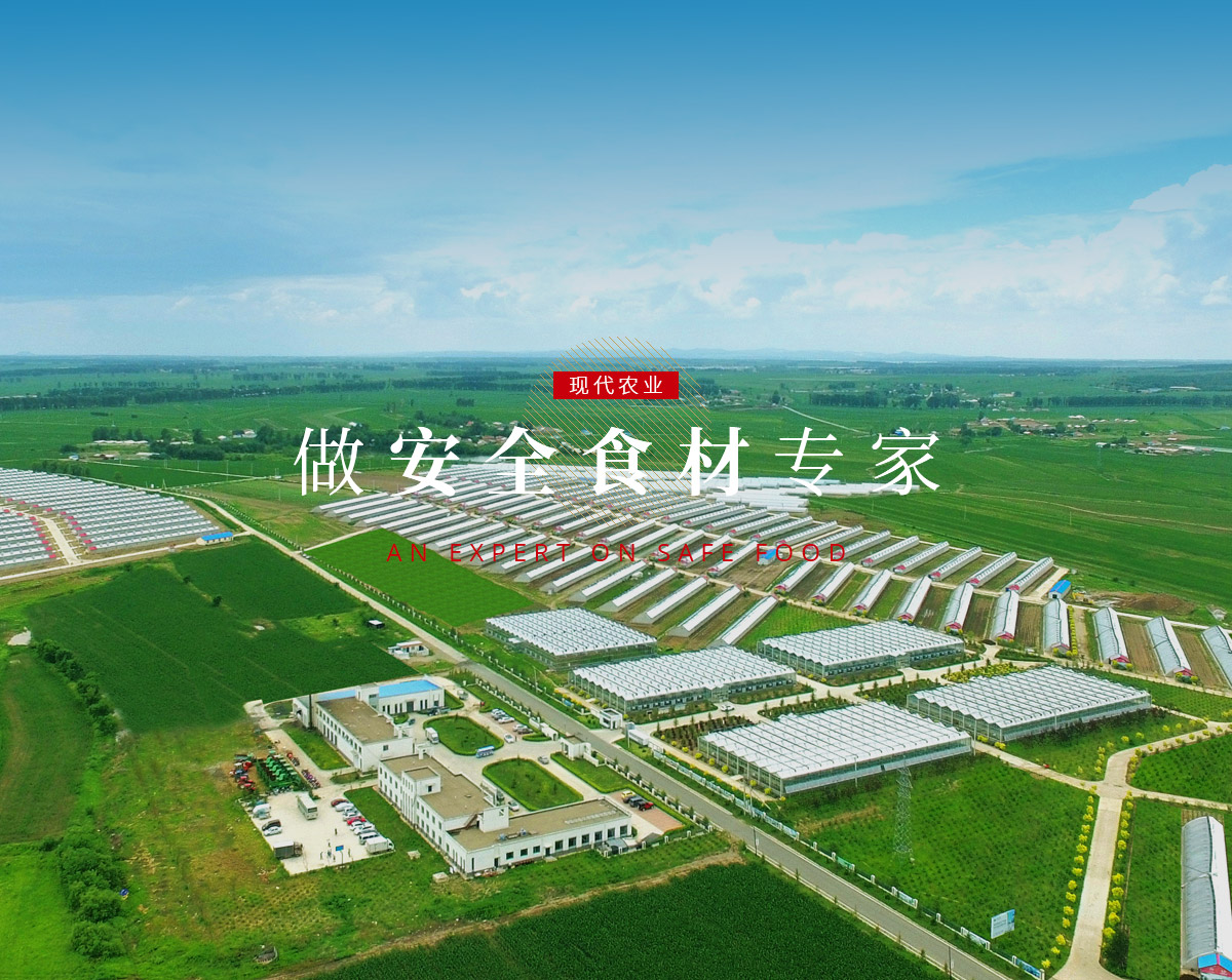 5001拉斯维加斯(中国游)有限公司-BinG百科