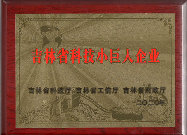 05001拉斯维加斯物业获“吉林省科技小巨人企业”称呼_副本.jpg