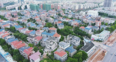 开元游戏大厅app花圃