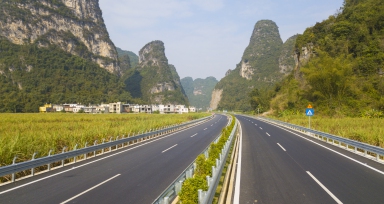 大新德天至宁明花猴子路