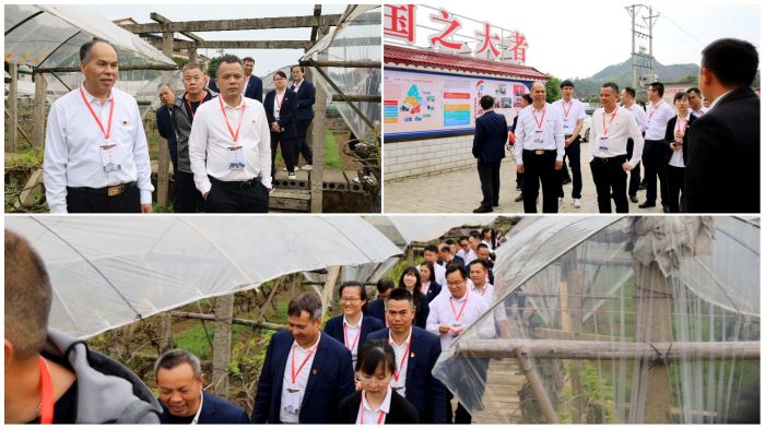开元游戏大厅app·(中国区)官方网站
