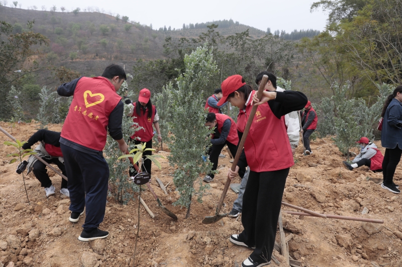 20250318033607560 开元游戏大厅app·(中国区)官方网站