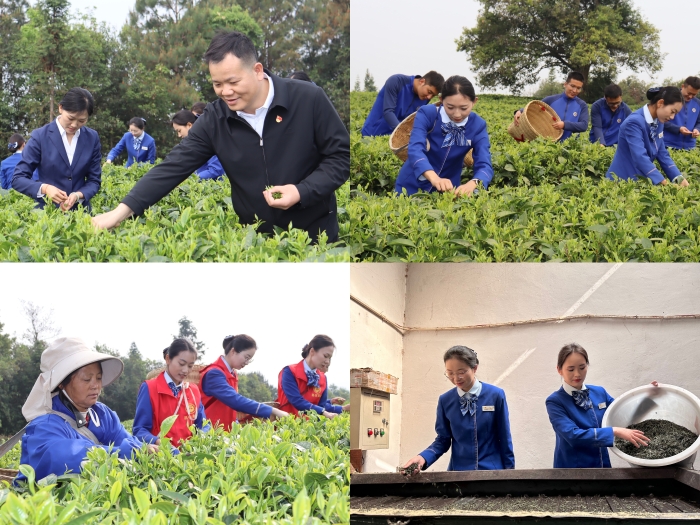 开元游戏大厅app·(中国区)官方网站